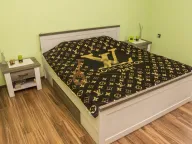 Prodaja, kuća, 400m², Ostalo, Podgorica - image 9