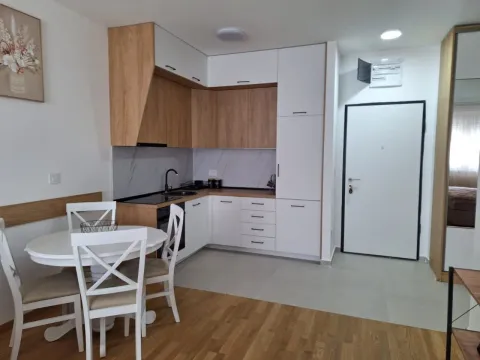 Izdavanje, jednosoban stan, 50m², Stari Aerodrom, Podgorica - image 8