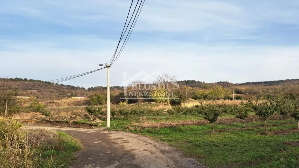 Prodaja, plac, 3000m², Višnjica, Palilula Sve Podlokacije