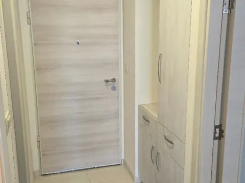 Izdavanje, jednosoban stan, 44m², Zagorič, Podgorica - image 7