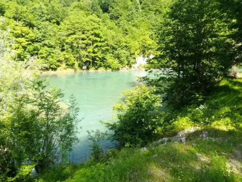 Pogled na rijeku i šumu okruženu zelenilom. - image 9