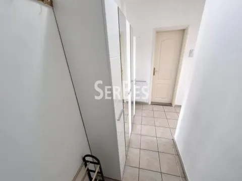 Izdavanje, stan, 27m², Nova Detelinara, Novi Sad Sve Podlokacije - image 8