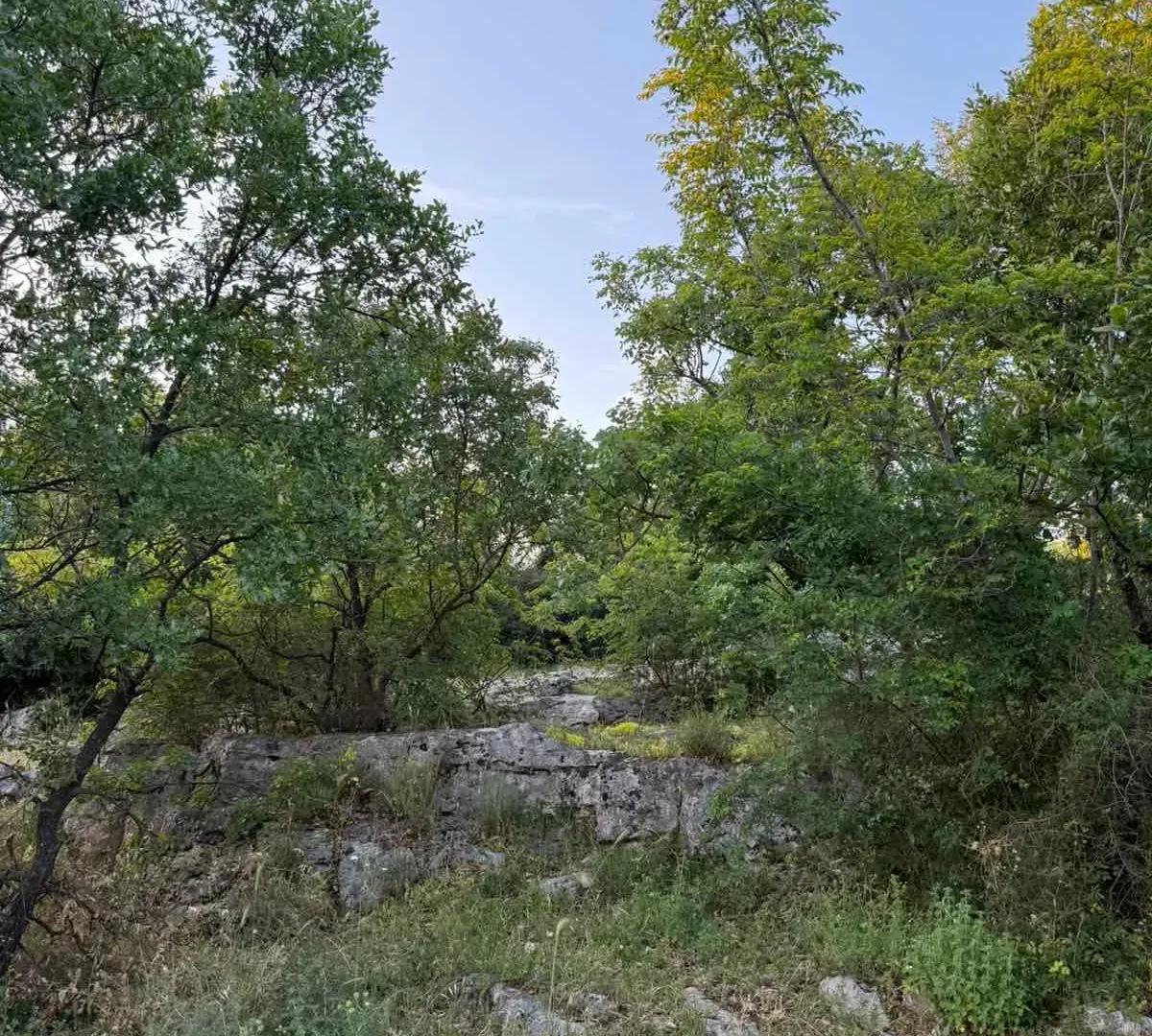 Prodaja, plac, 7605m², Podgorica, Crna Gora