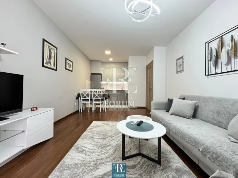 Rent, one bedroom apartment, 50m², Master Kvart, Podgorica - image 2