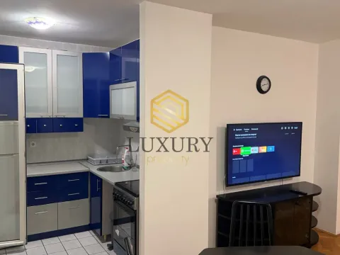 Rent, one bedroom apartment, 58m², Zagorič, Podgorica - image 2