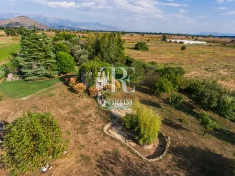 Prodaja, kuća, 215m², Podgorica, Crna Gora - image 5