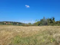 Prodaja, plac, 18200m², Grocka, Beograd - image 6