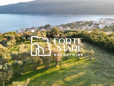 Prodaja, plac, 7560m², Đenovići, Herceg Novi