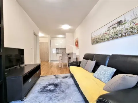Rent, one bedroom apartment, 40m², Central Point, Podgorica - image 1