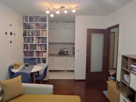 Izdavanje, jednosoban stan, 44m², Stari Aerodrom, Podgorica - image 2