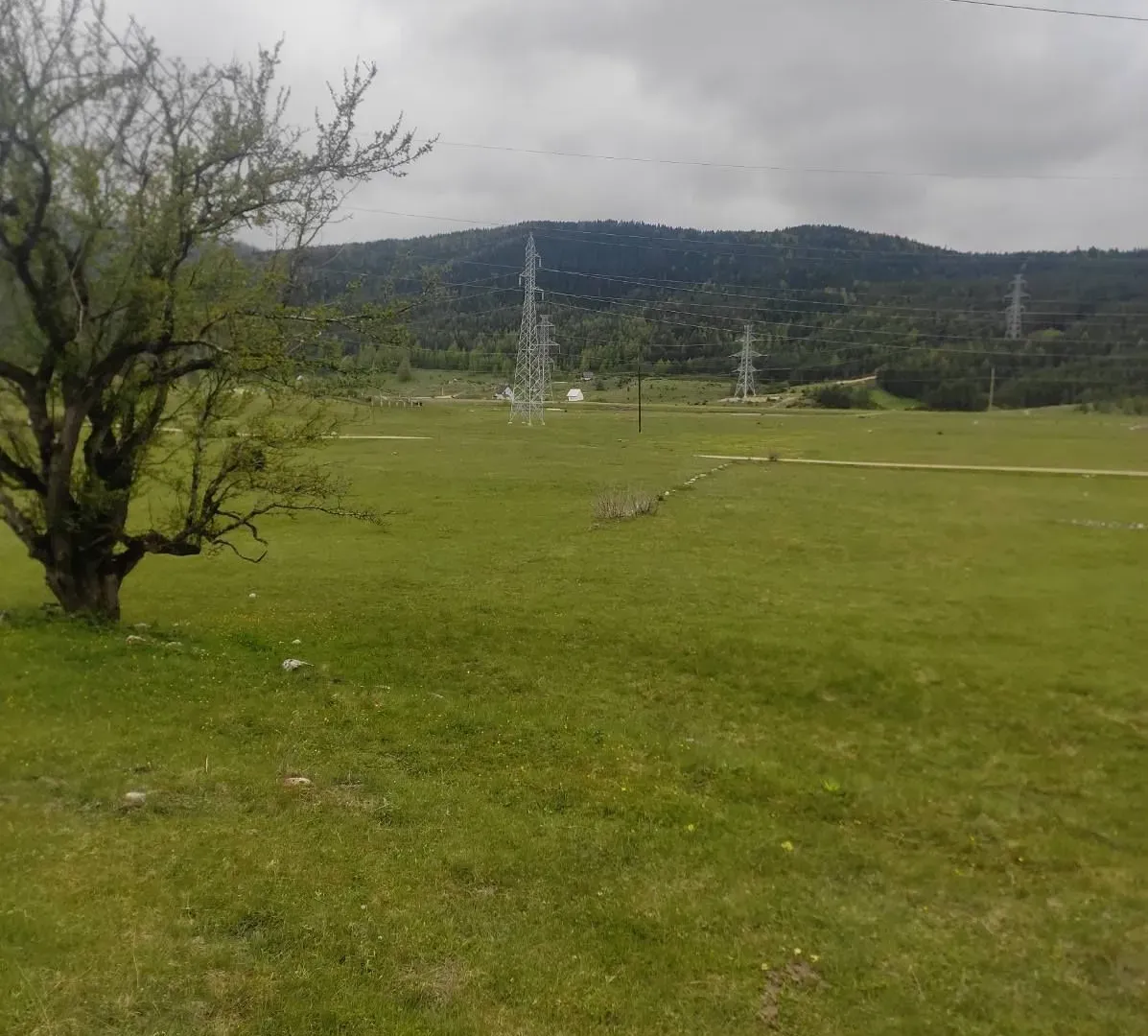 Prodaja, plac, 1400m², Žabljak, Crna Gora