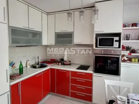 Rent, one bedroom apartment, 45m², Kalenić Pijaca, Vračar Sve Podlokacije - image 4