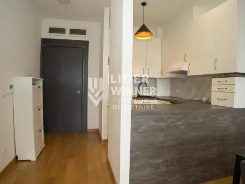 Izdavanje, dvosoban stan, 50m², Voždovac Sve Podlokacije, Beograd - image 5
