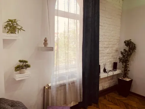 Rent, three bedroom apartment, 60m², Dorćol Sve Podlokacije, Beograd - image 15