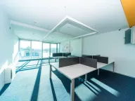 Izdavanje, poslovni prostor, 391m², Preko Morače, Podgorica - image 31