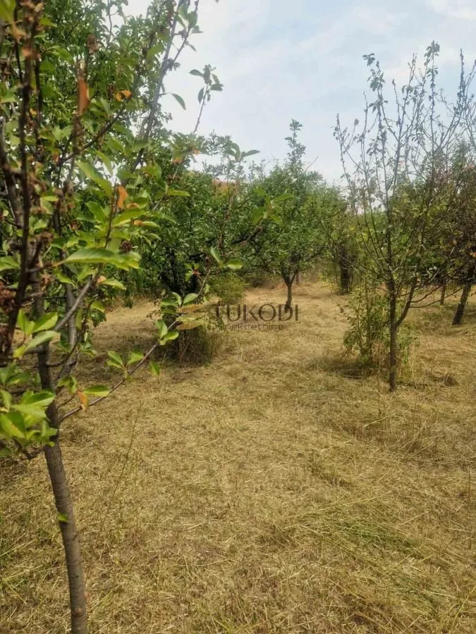 Prodaja, kuća, 43m², Širine, Petrovaradin