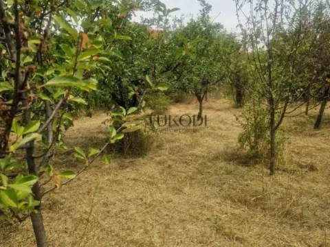 Prodaja, kuća, 43m², Širine, Petrovaradin - image 9