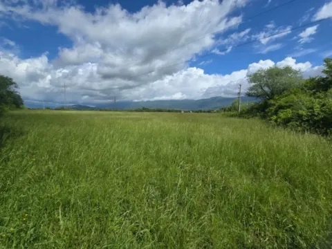 Prodaja, plac, 10616m², Kosić, Danilovgrad - image 6