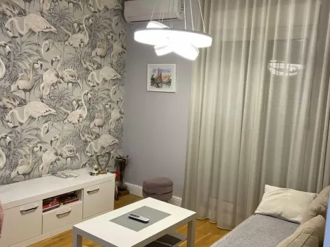 Rent, one bedroom apartment, 35m², Zabjelo, Podgorica - image 3