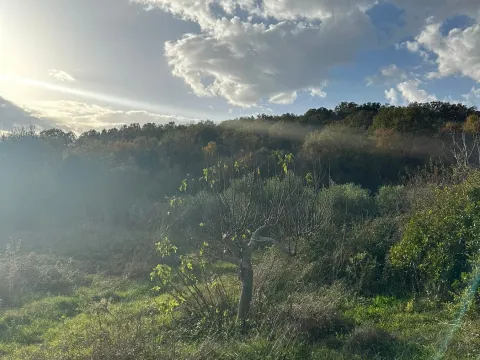 Prodaja, plac, 6000m², Ulcinj, Crna Gora - image 9