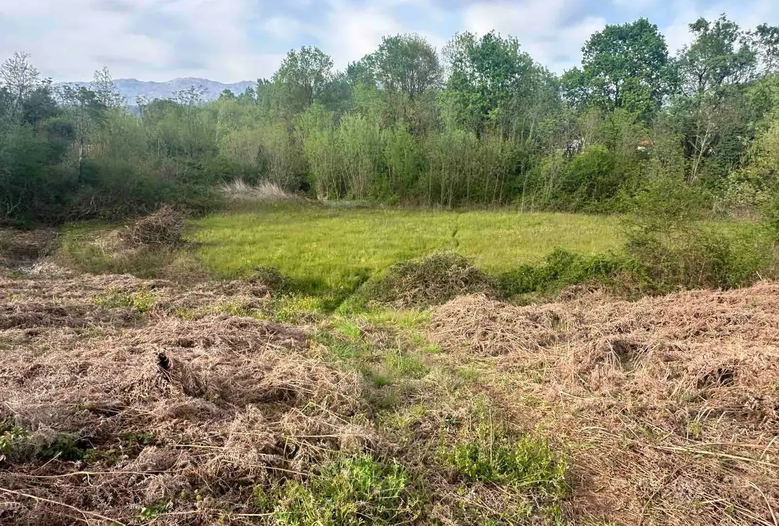 Prodaja, plac, 10860m², Orja Luka, Danilovgrad
