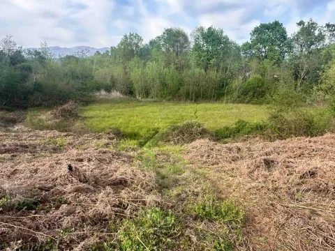 Prodaja, plac, 10860m², Orja Luka, Danilovgrad - image 2