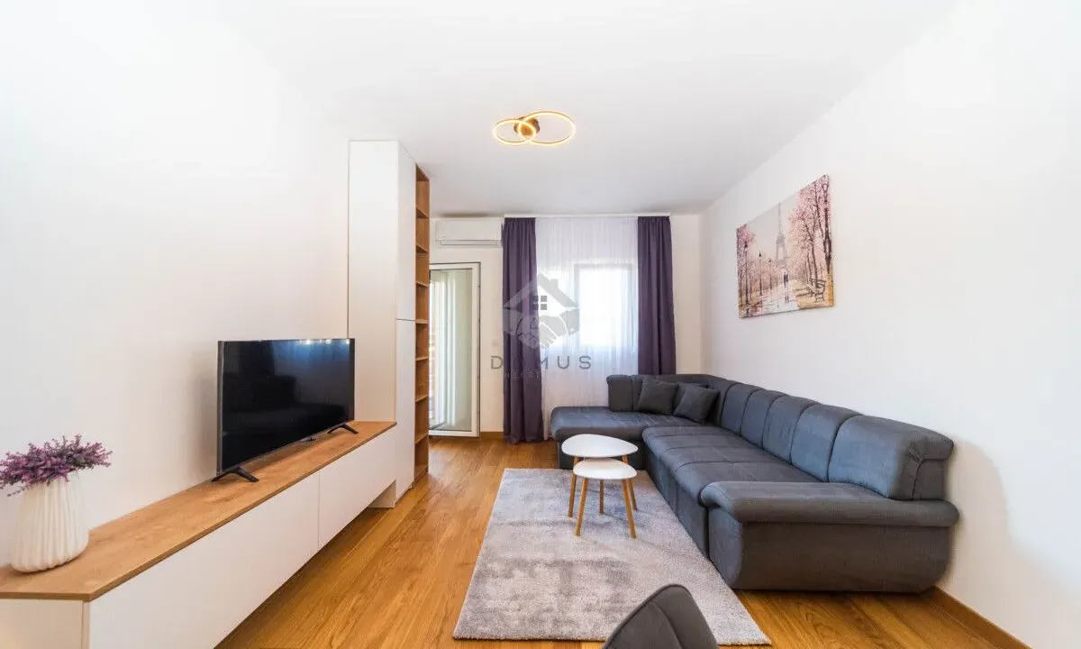Rent, one bedroom apartment, 45m², New City, Podgorica