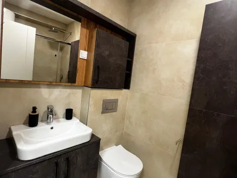 Prodaja, jednosoban stan, 45m², Zabjelo, Podgorica - image 9