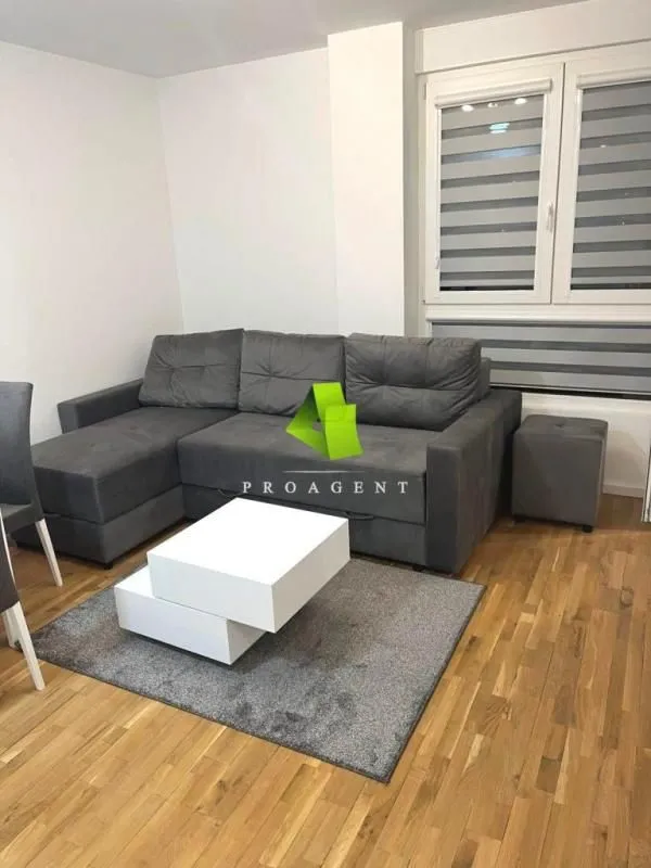 Rent, one bedroom apartment, 43m², Pantelej, Niš