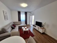 Izdavanje, jednosoban stan, 46m², Stari Aerodrom, Podgorica - image 2