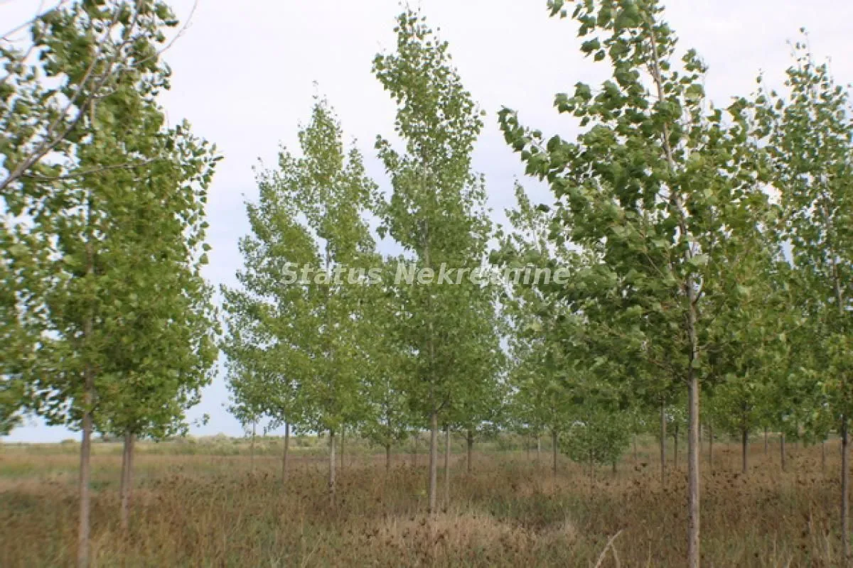 Prodaja, plac, 1378m², Zrenjanin, Srbija