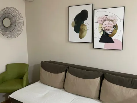 Izdavanje, jednosoban stan, 40m², Stari Aerodrom, Podgorica - image 1