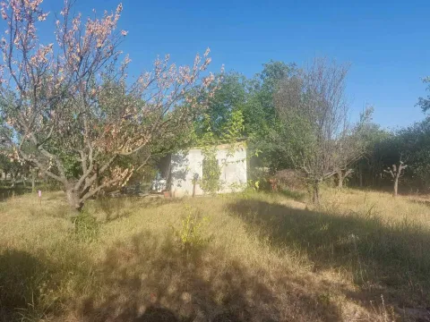 Pogled na plac sa malim pomoćnim objektom i voćnjakom. - image 2