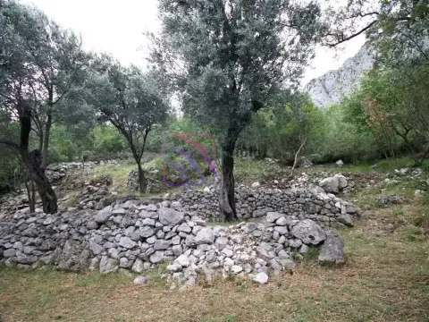 Prodaja, plac, 2650m², Reževići, Budva - image 4