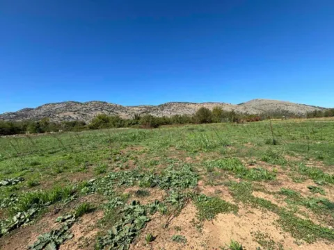 Sale, land lot, 9569m², Botun, Podgorica - image 4