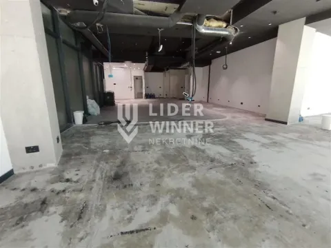Prodaja, poslovni prostor, 347m², Južni Bulevar, Vračar Sve Podlokacije - image 2