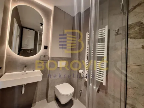 Izdavanje, dvosoban stan, 50m², Crveni Krst, Beograd - image 11