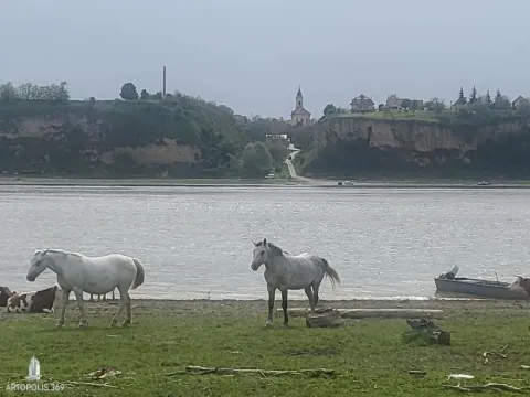 Prodaja, kuća, 51m², Surduk, Stara Pazova - image 2