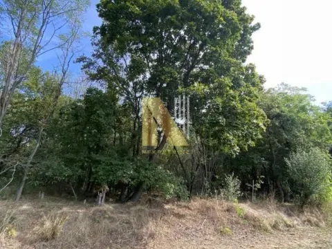 Prodaja, plac, 800m², Irig, Srbija - image 4