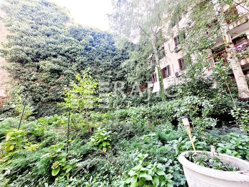 Green courtyard of the building with lush vegetation and trees.