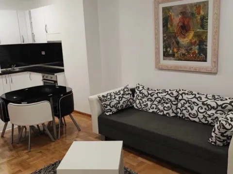 Rent, one bedroom apartment, 47m², Tološka šuma, Podgorica - image 1