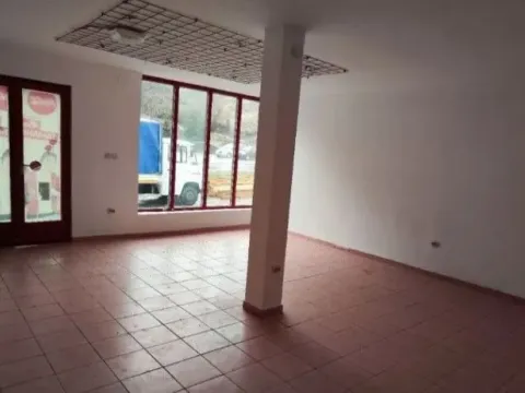 Prodaja, poslovni prostor, 600m², Donji Milanovac, Majdanpek - image 8