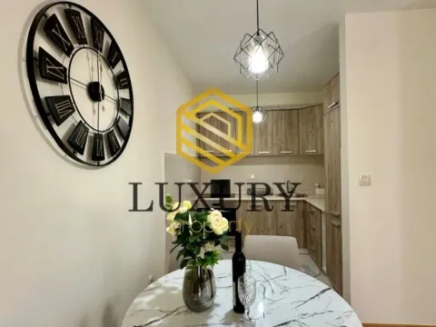 Izdavanje, jednosoban stan, 57m², Zagorič, Podgorica - image 9