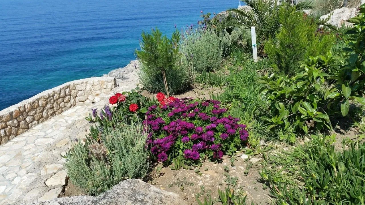 Prodaja, stan, 75m², Dobra Voda, Bar