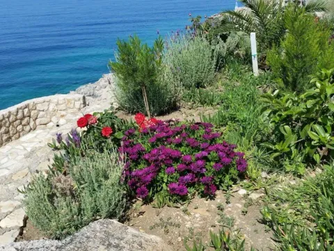 Prodaja, stan, 75m², Dobra Voda, Bar - image 4