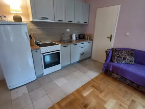 Izdavanje, jednosoban stan, 42m², Centar, Cetinje - image 2