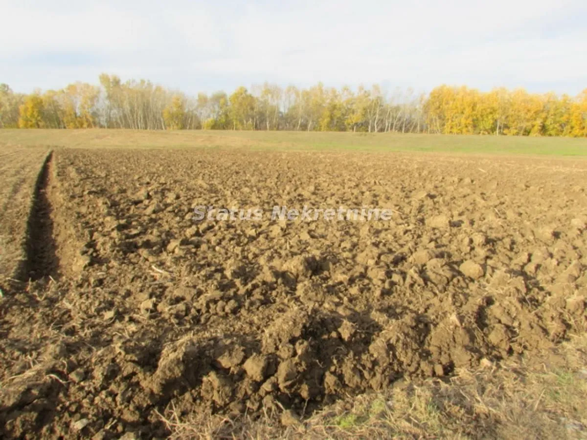 Prodaja, plac, 604m², Sremska Mitrovica, Srbija