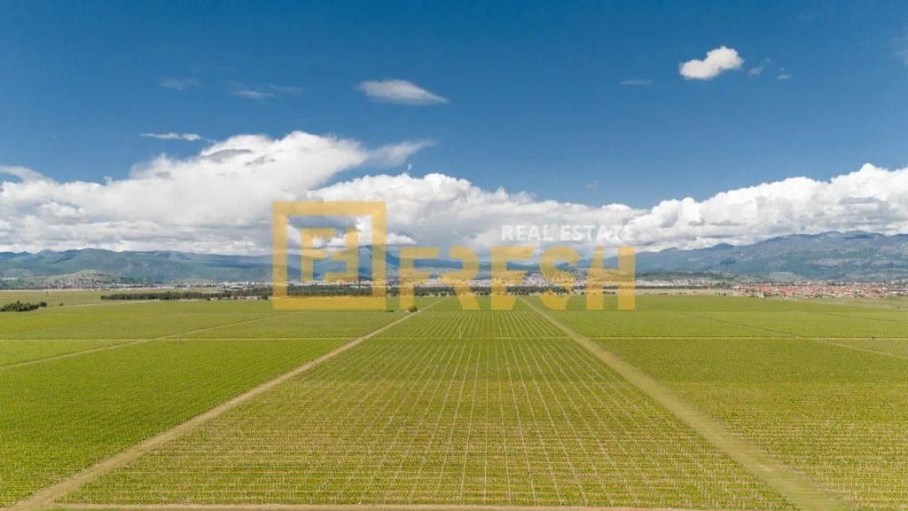 Prodaja, plac, 116700m², Tuzi, Podgorica