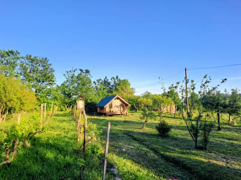 Prodaja, kuća, 285m², Piperi, Podgorica - image 13