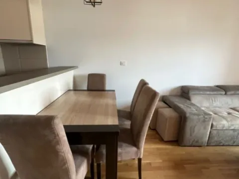 Izdavanje, jednosoban stan, 45m², Tuški Put, Podgorica - image 7